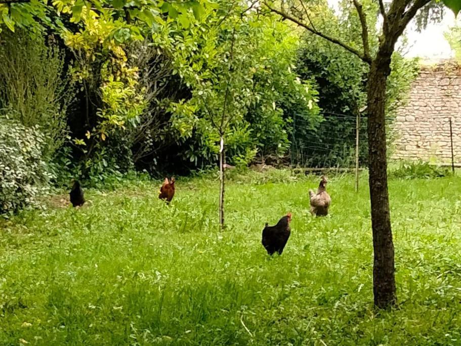 Le Cinq, Au Coeur Du Vexin Villa Themericourt Buitenkant foto